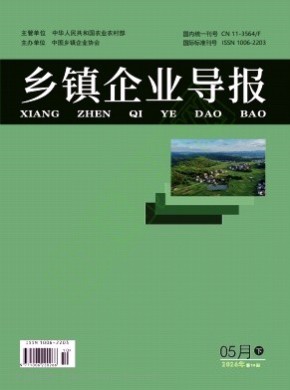 乡镇企业导报